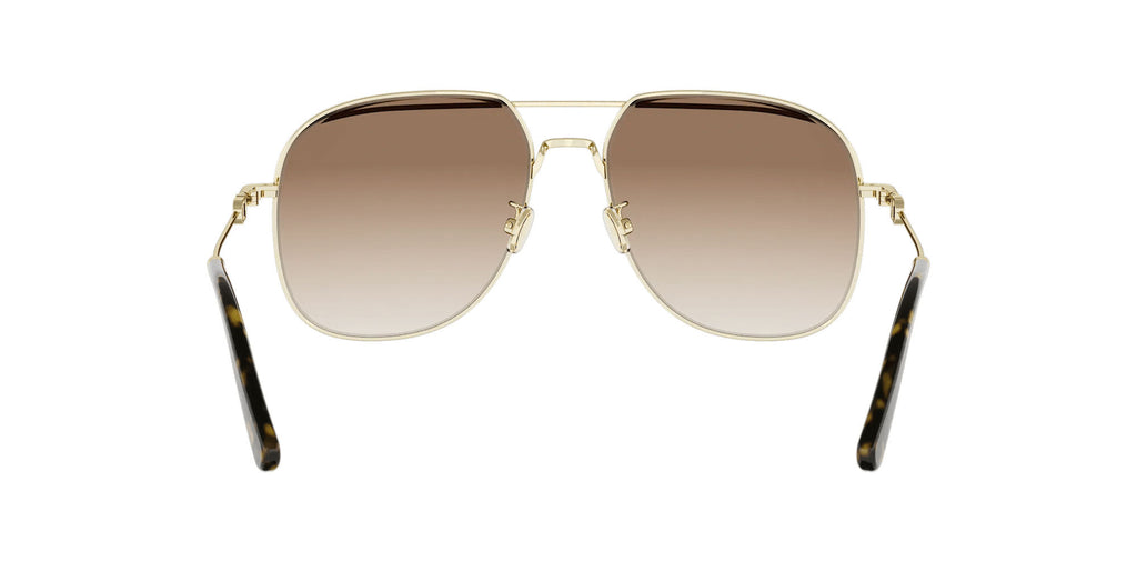 Dior Petit CD A1U
