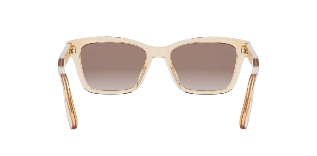 Dior DioRibbon S2I
