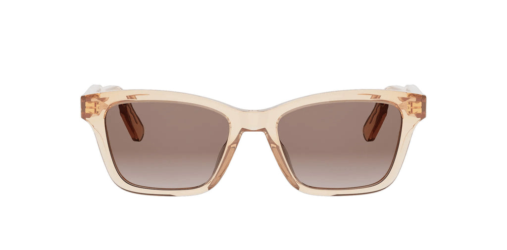 Dior DioRibbon S2I