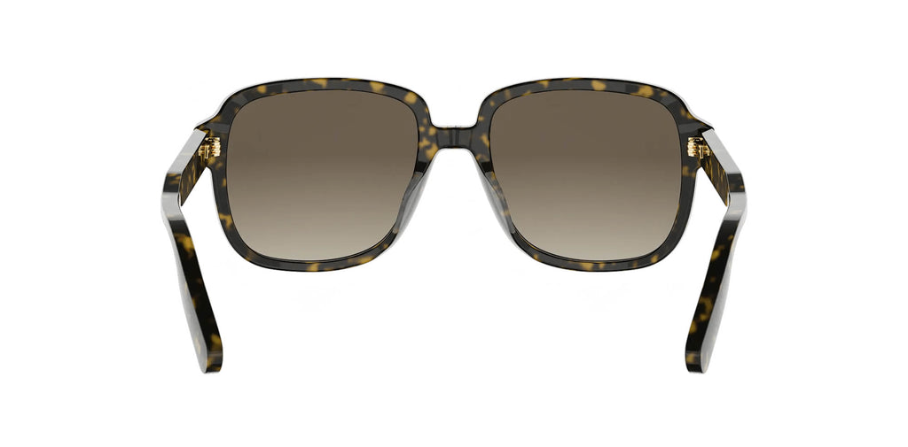 Dior DioRibbon S1I
