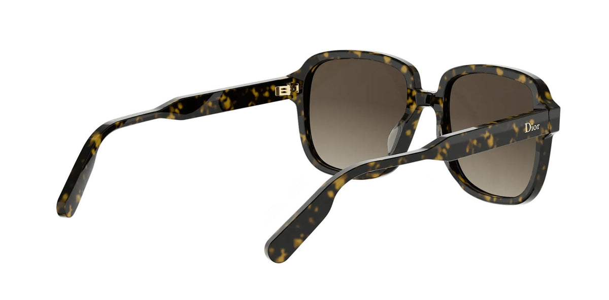 Dior DioRibbon S1I