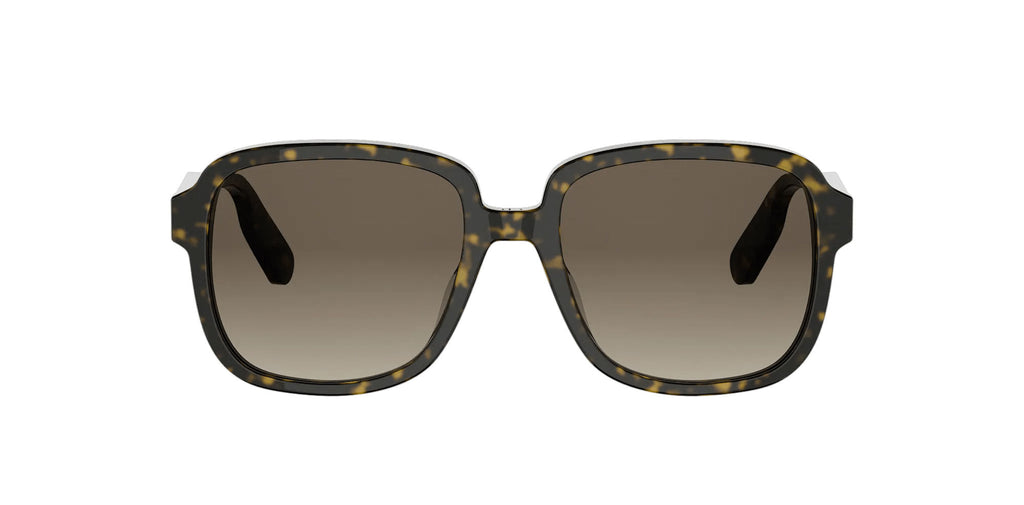 Dior DioRibbon S1I