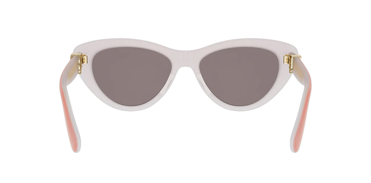 Dior Oblique B2I