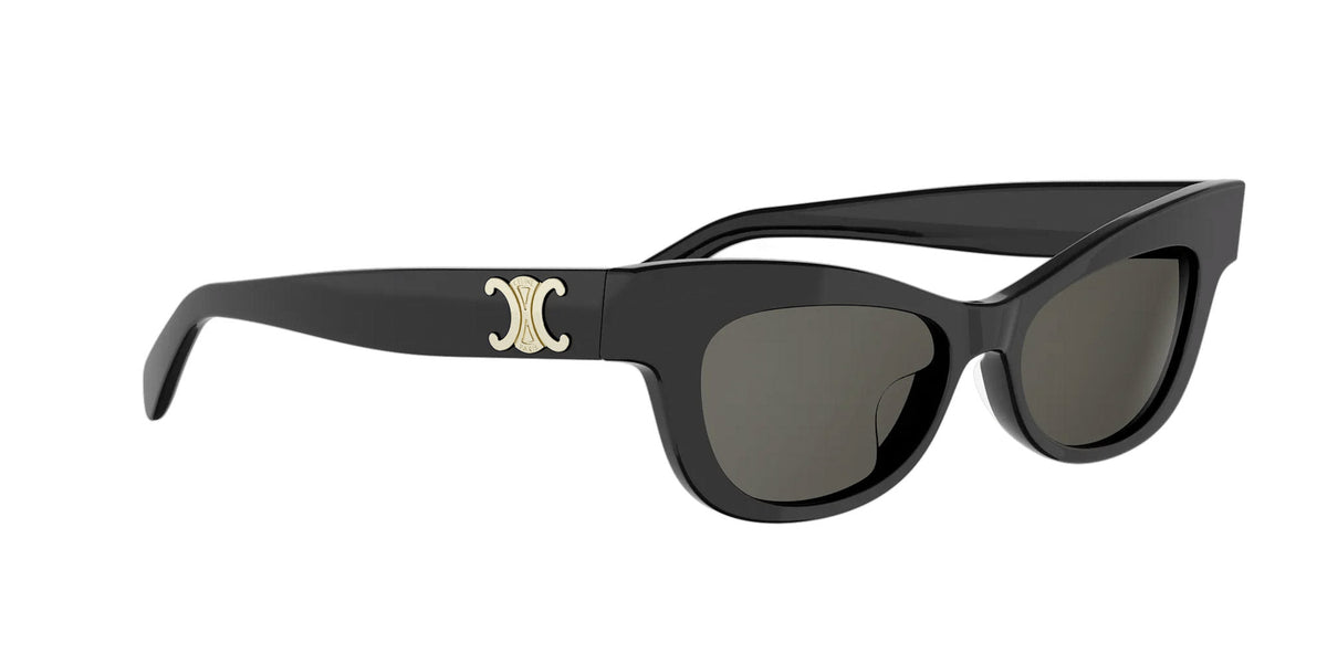 CELINE Triomphe CL40352U
