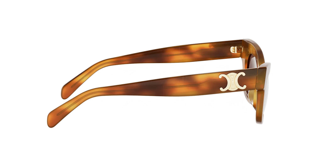 CELINE Triomphe CL40352U