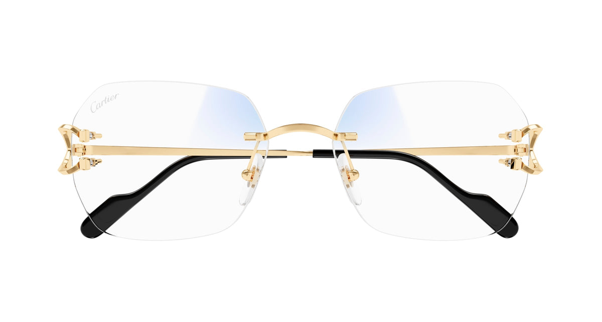 Cartier CT0416S
