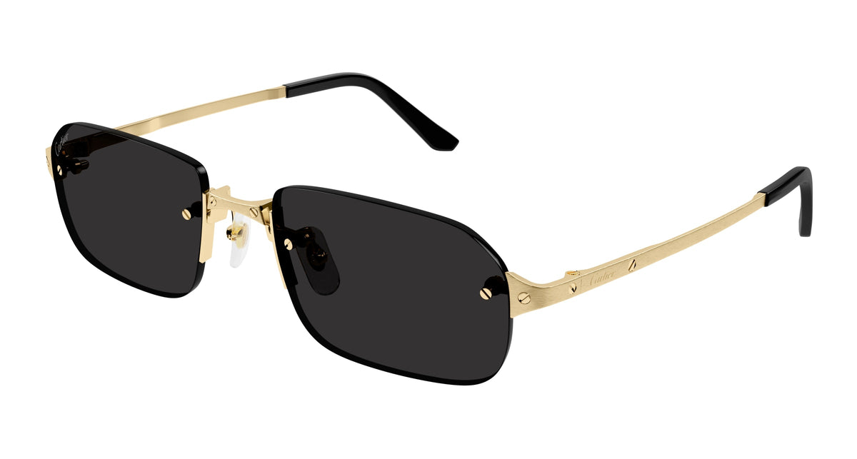 Cartier CT0460S