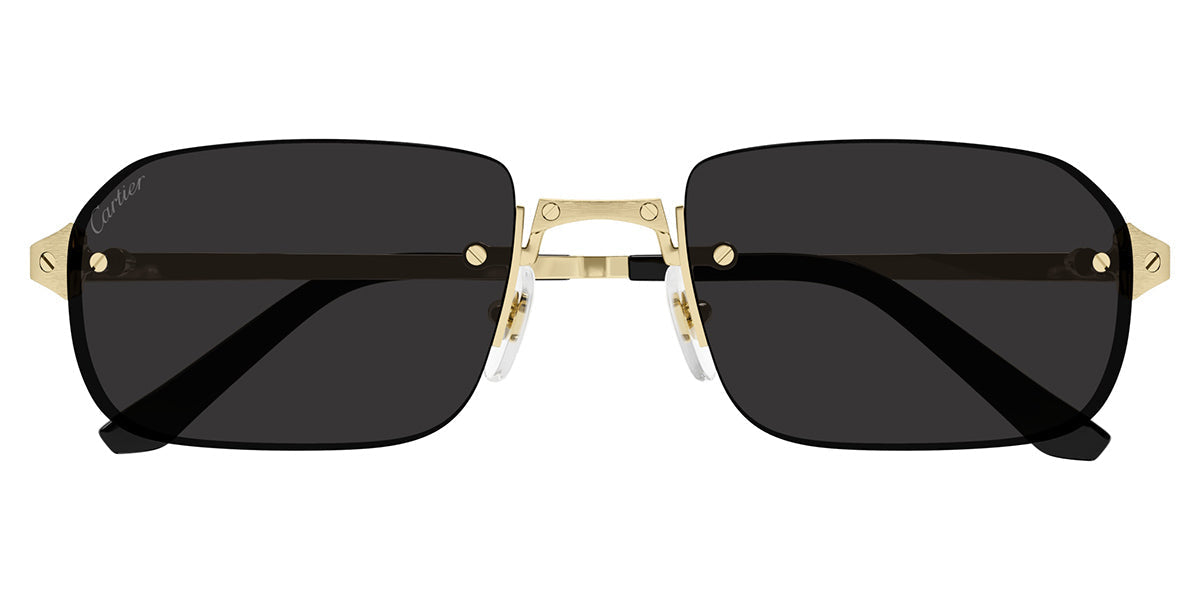 Cartier CT0460S