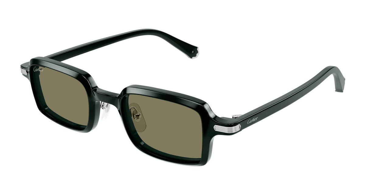 Cartier CT0539S