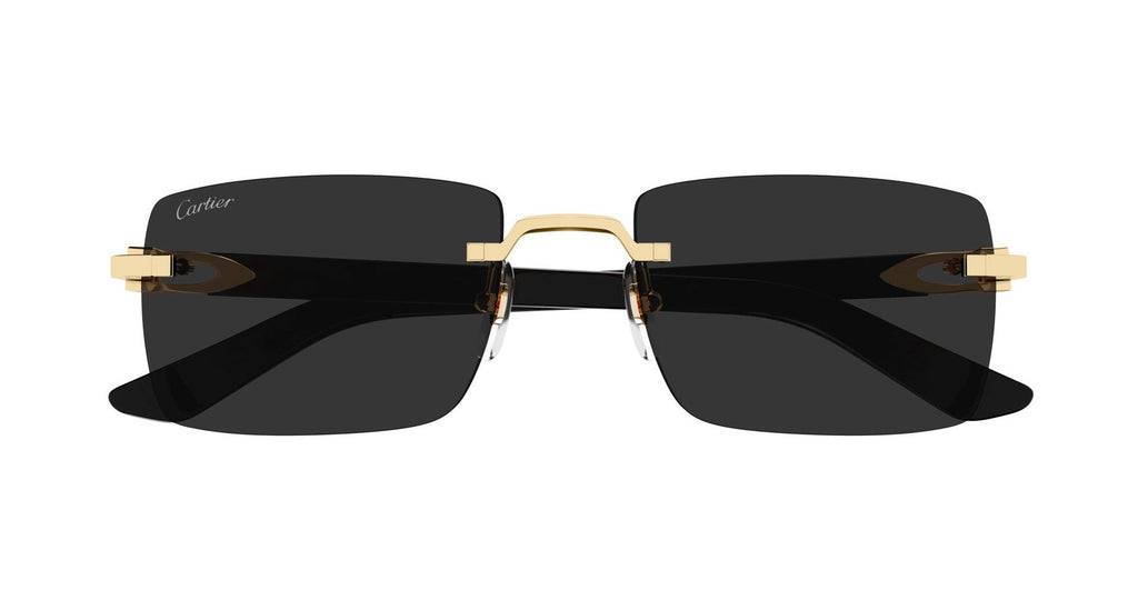 Cartier CT0579S