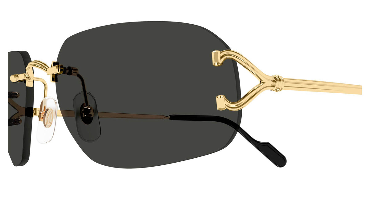 Cartier CT0663S