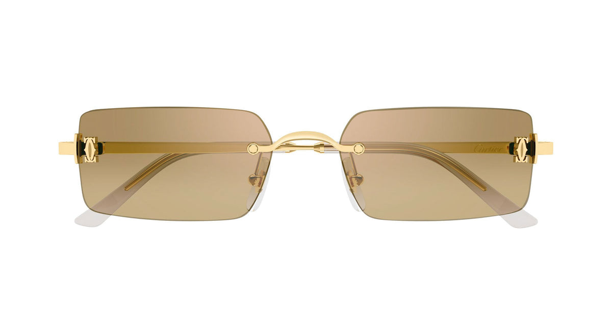 Cartier CT0672S