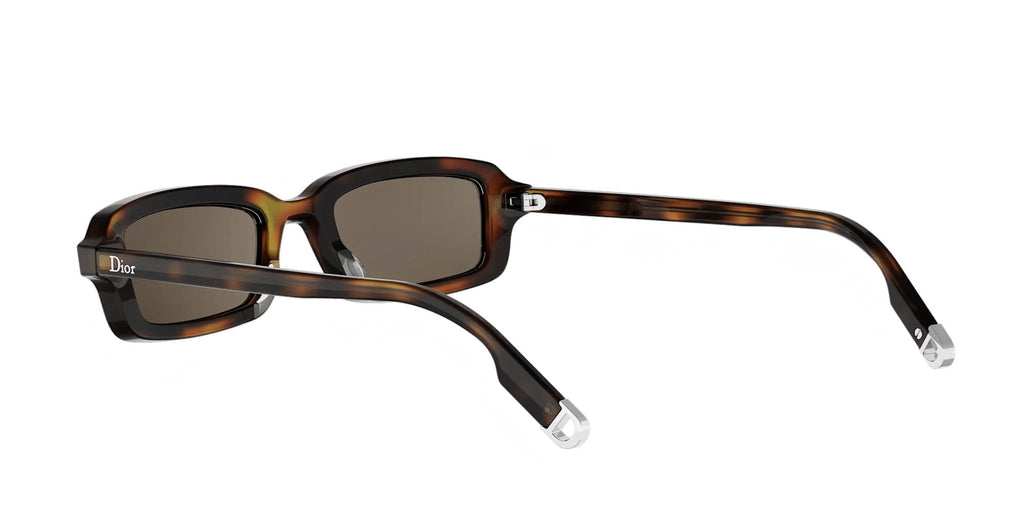 Dior Symbol S2I