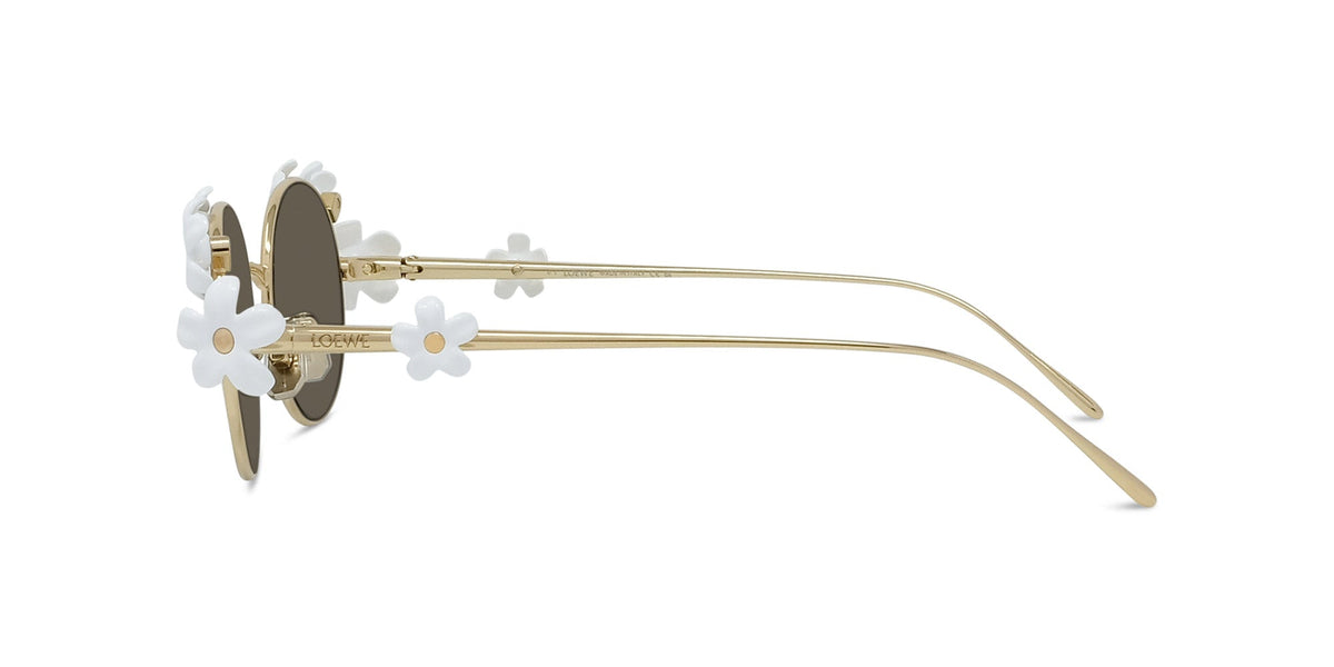 Loewe Signature LW40173U