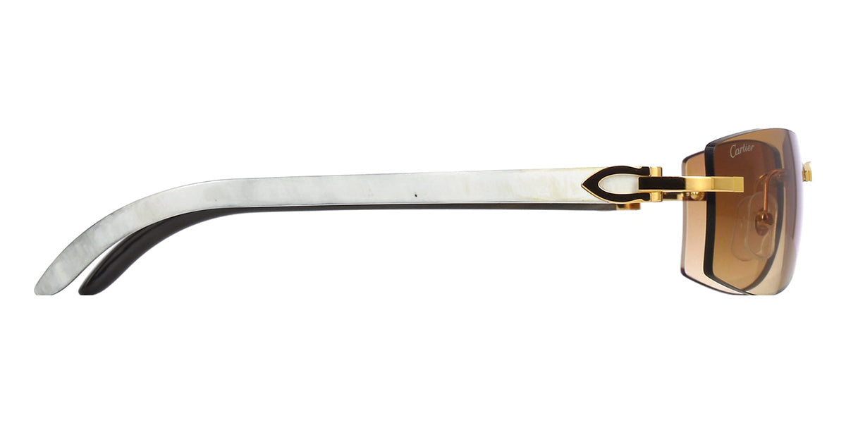 Cartier CT0017RS