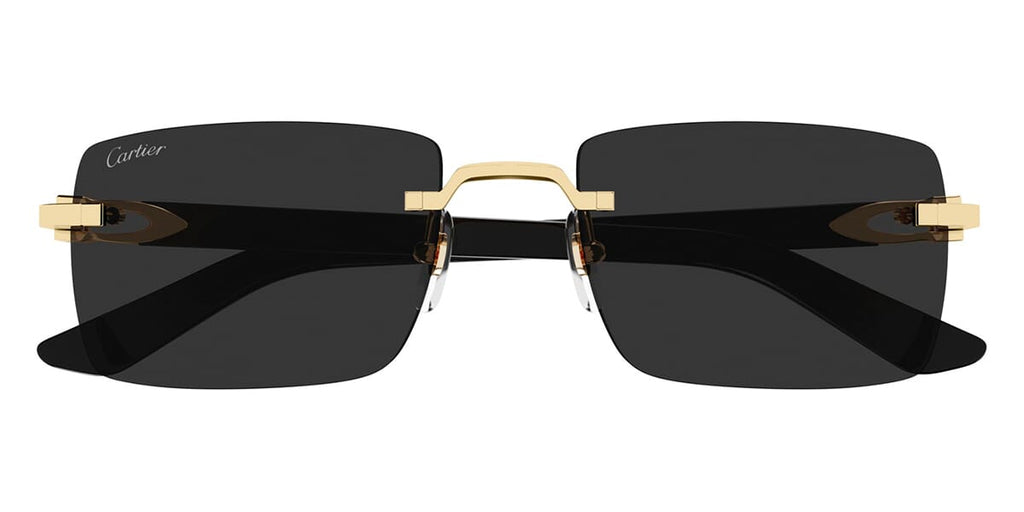 Cartier CT0579S