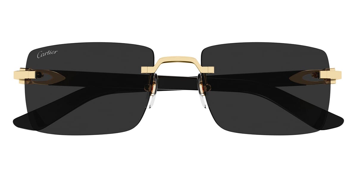 Cartier CT0579S