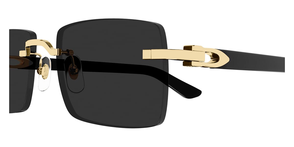 Cartier CT0579S