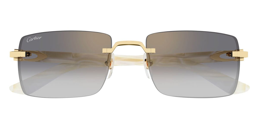 Cartier CT0579S