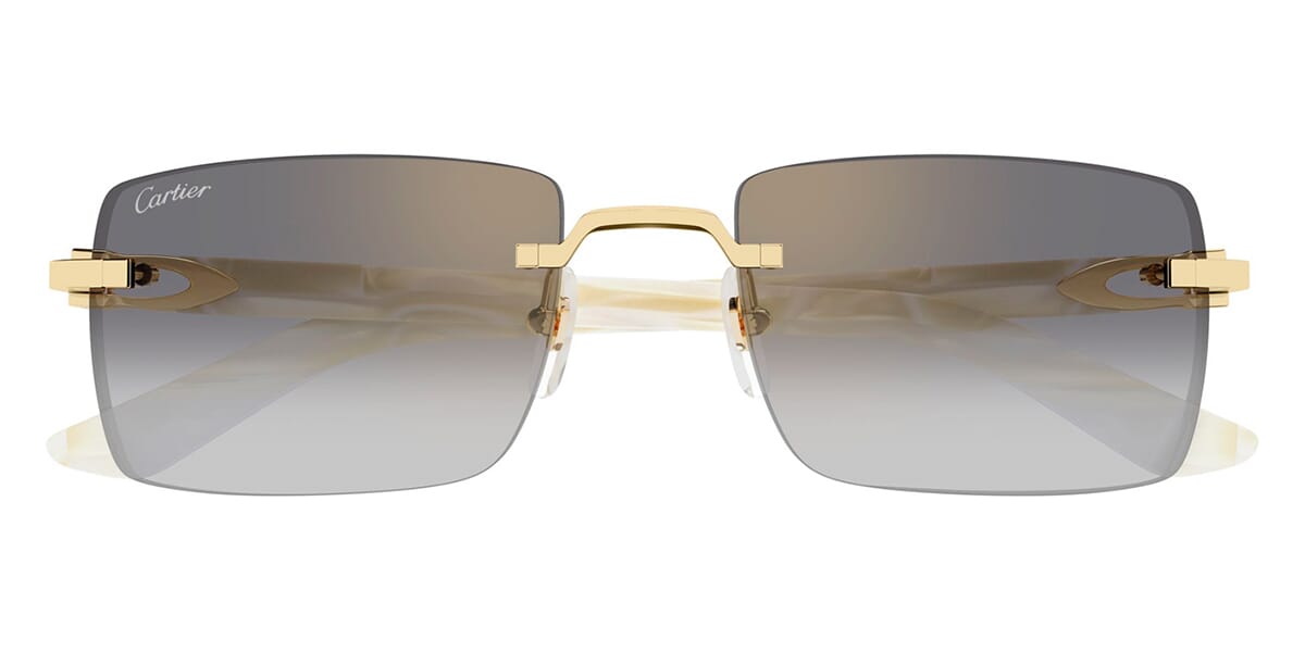 Cartier CT0579S