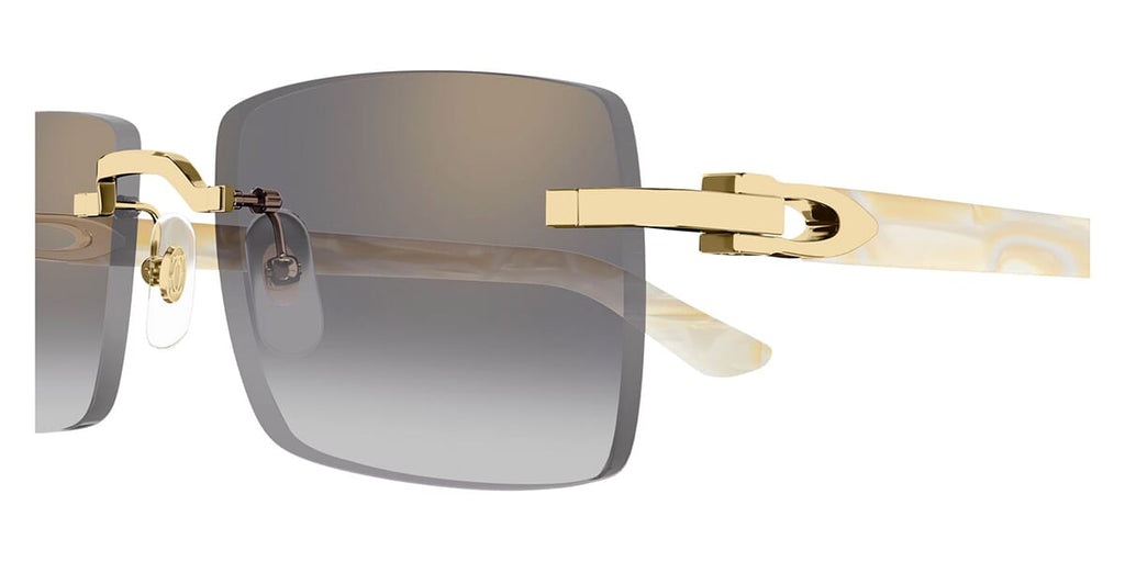 Cartier CT0579S