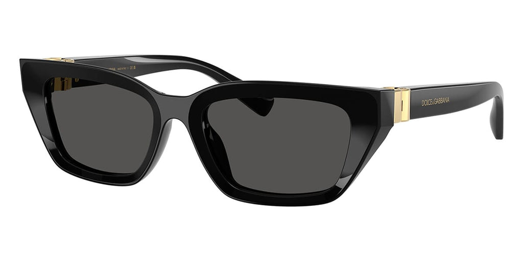 Dolce&Gabbana DG4532