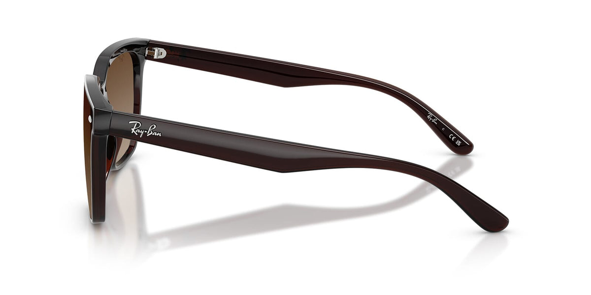 Ray-Ban RB4466D